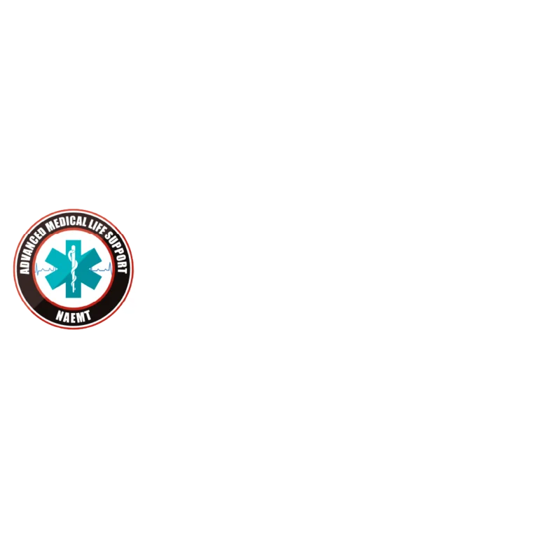 AMLS