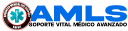 amls-logo-color-naemt-paramedico